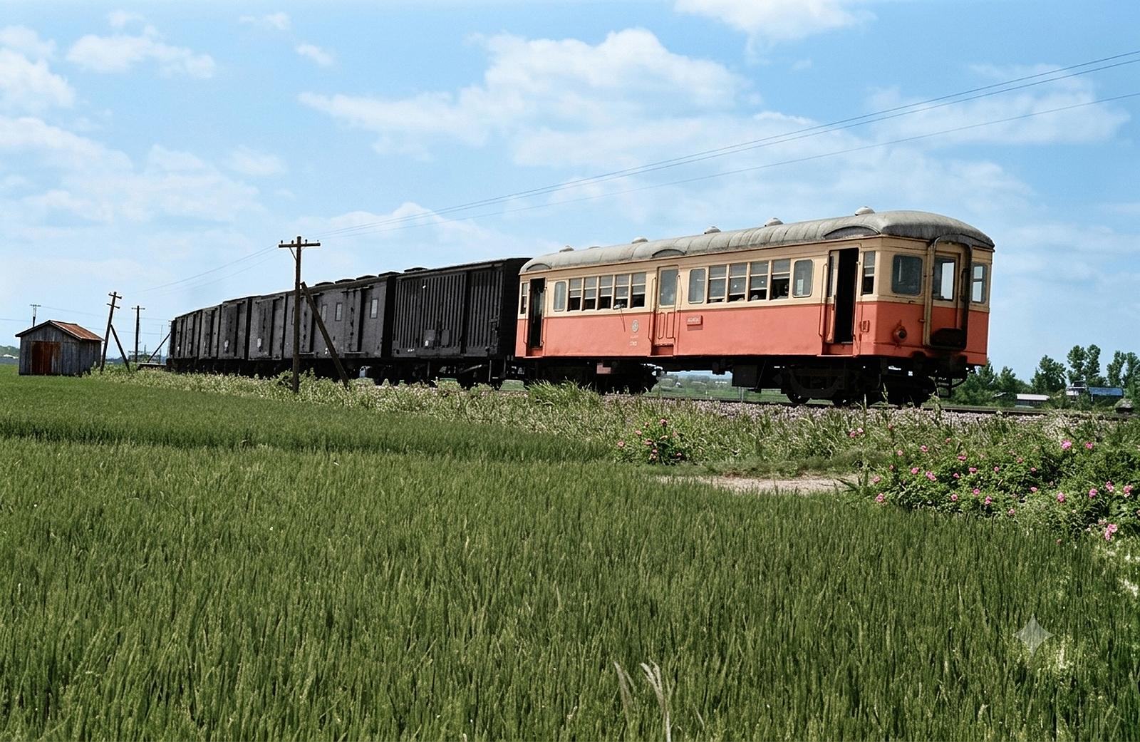 津軽鉄道混合列車ナハフ1201Geminiカラー化
