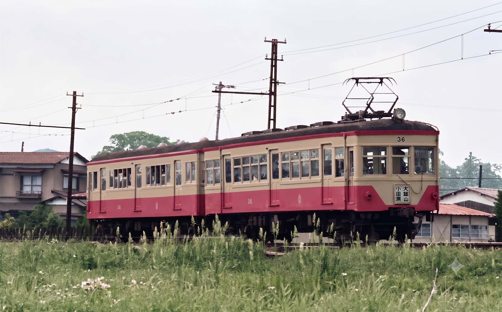 大雄山線36号カラー化