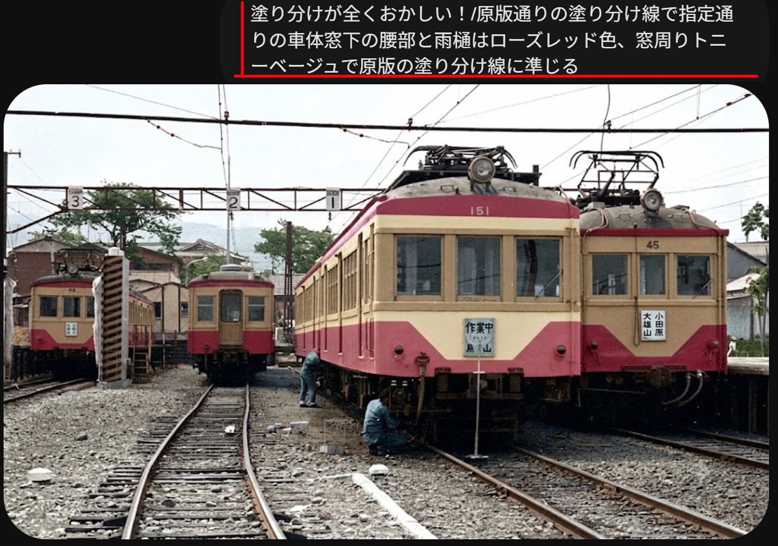 大雄山線車庫カラー化
