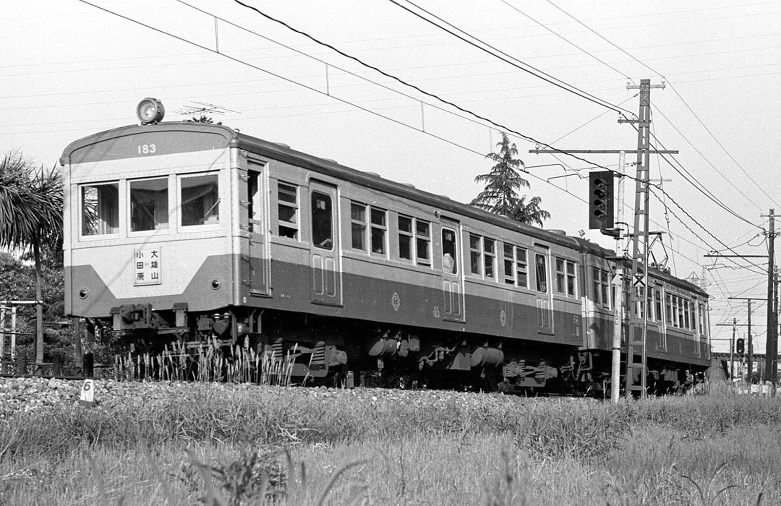 大雄山線183号カラー化Gemini