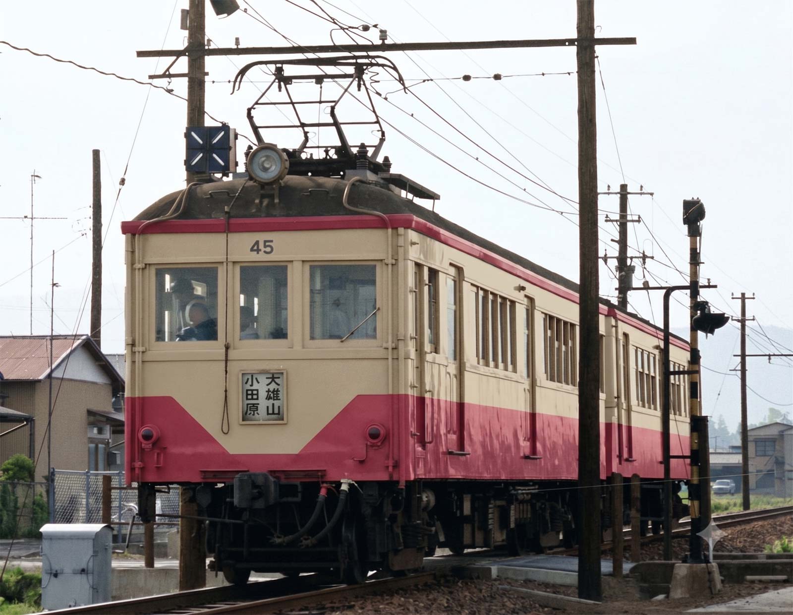 大雄山線45号カラー化Gemini