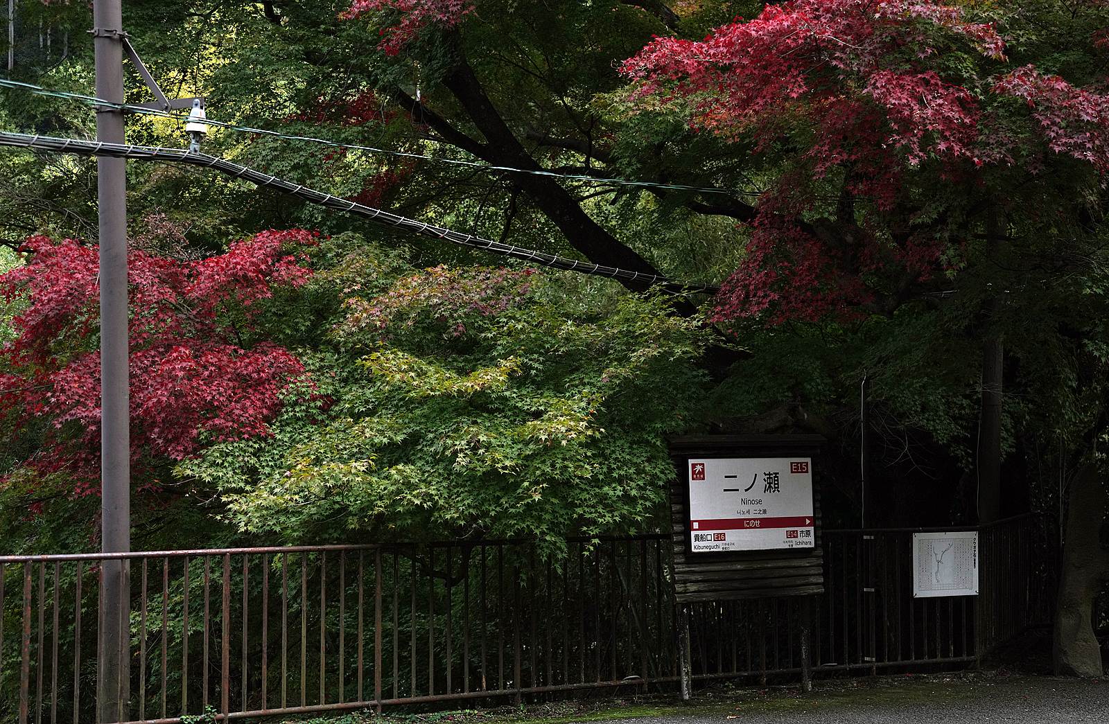 二ノ瀬駅の紅葉