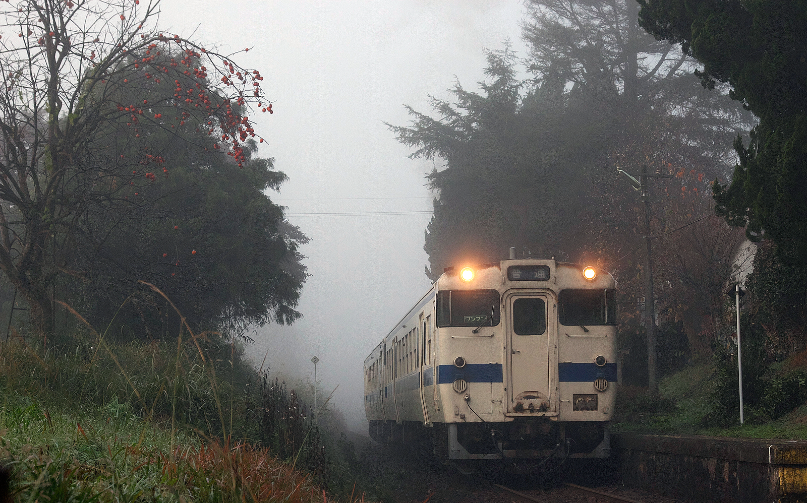 キハ47 8000代 鶴丸温泉駅