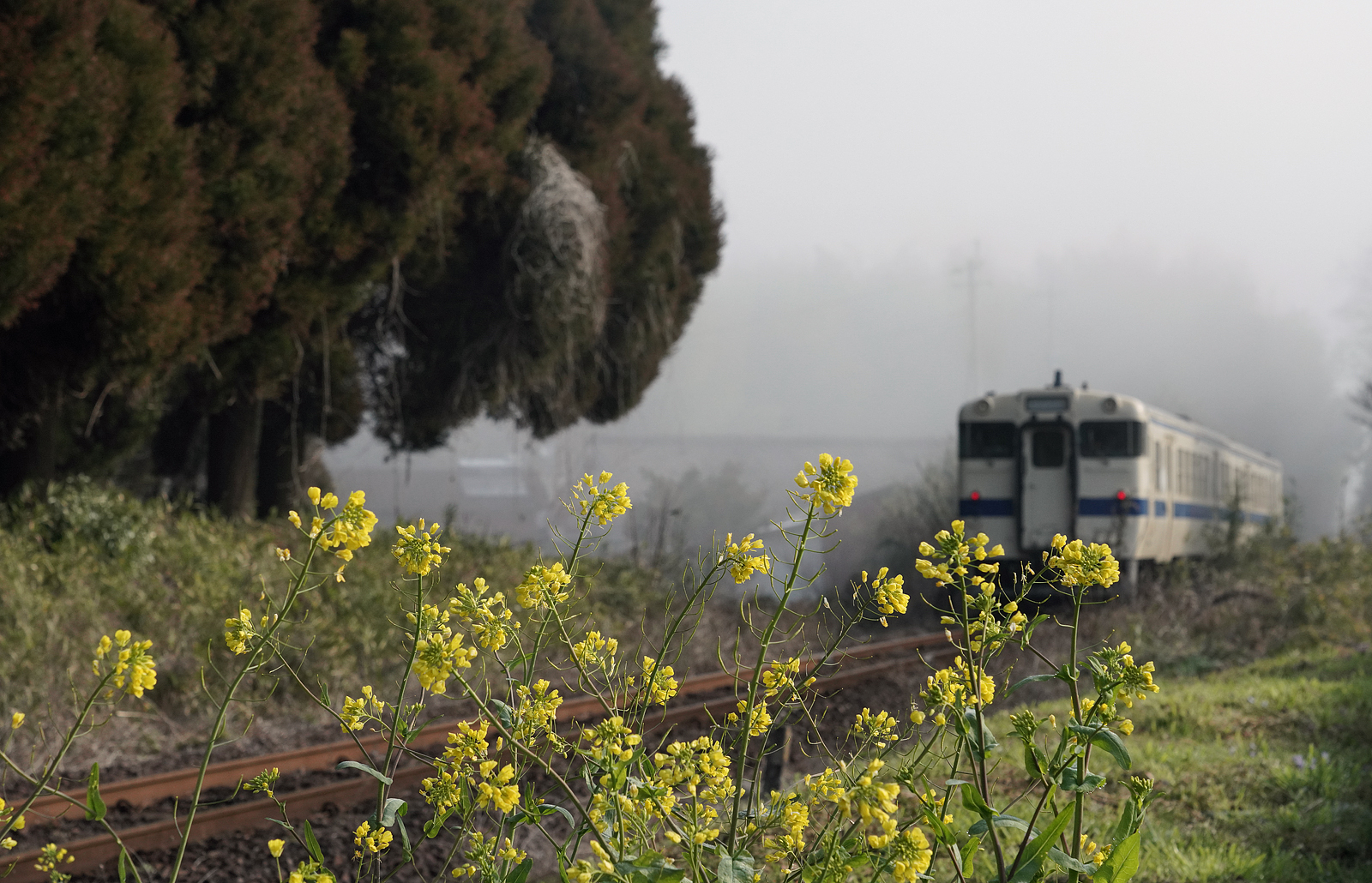 キハ47 9000代 鶴丸温泉駅